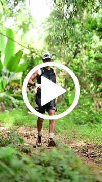 BIB:  <button type="button" onclick="openModal(26822596)" class="btn btn-primary btn-sm float-right" data-toggle="modal" data-target=".modal-high-quality">
                <i class="fa fa-download"></i> Download
                </button>